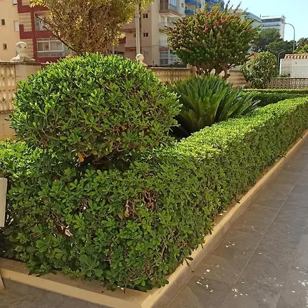Joyitas Gandia Apartment *